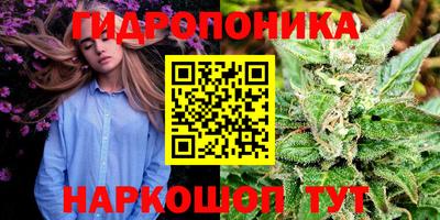 герыч Кингисепп