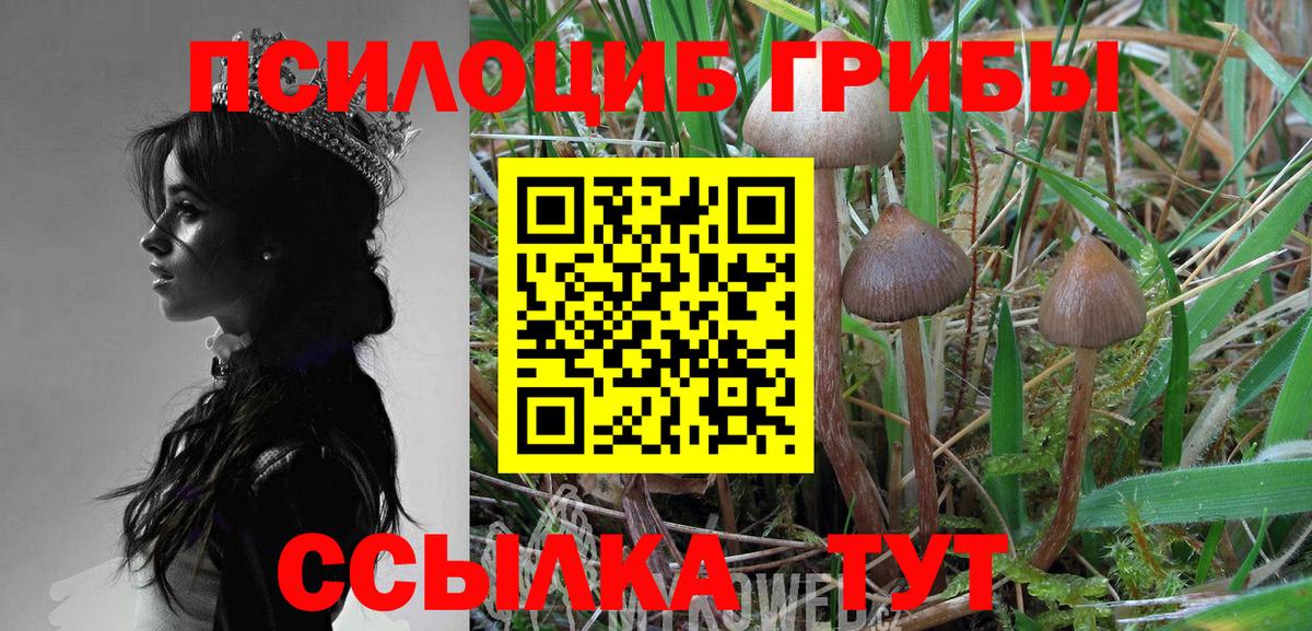 Псилоцибиновые грибы прущие грибы Вологда