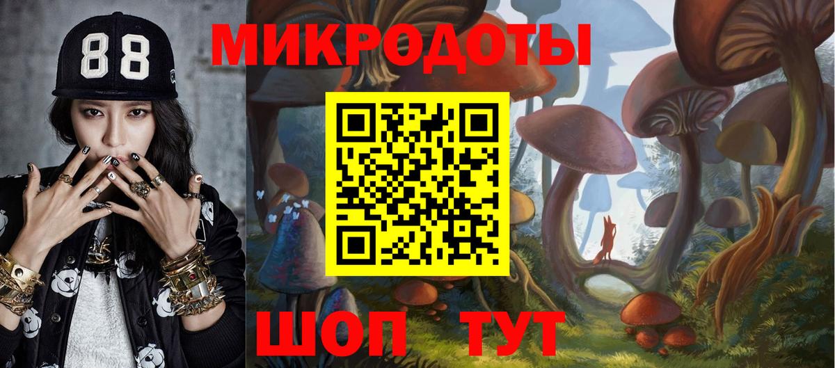 Вологда  Псилоцибиновые грибы мухоморы  Вход с VPN 